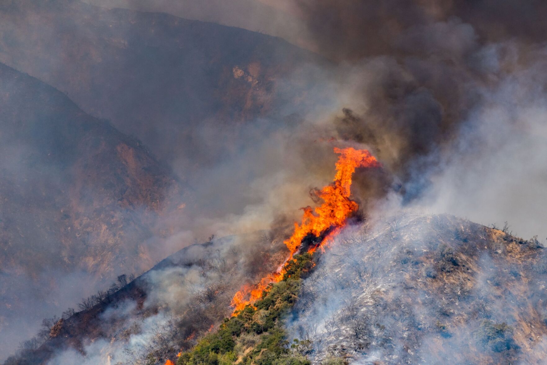 Apple Fire